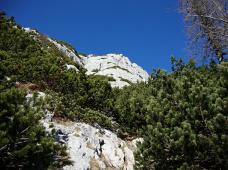 Klik za večjo sliko